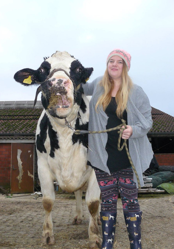 Ausbildungsbetrieb Hellwege